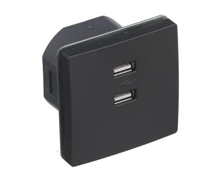 Розетка 2-на USB SIEMENS DELTA Style 250V, 2100 mA чорний коссо