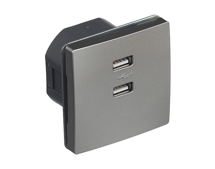 13780PM Розетка 2-на USB SIEMENS DELTA Style 250V, 2100 mA платина металік