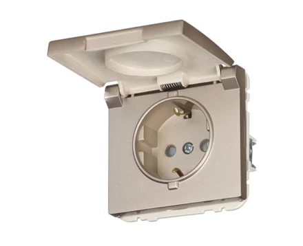 Розетка 1-на з кришкою 2P+Z, ШУКО Efapel Apolo 16А, 250V шампань