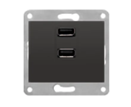 Розетка USB подвійна 250V 2.1A SIEMENS DELTA Iris чорний коссо