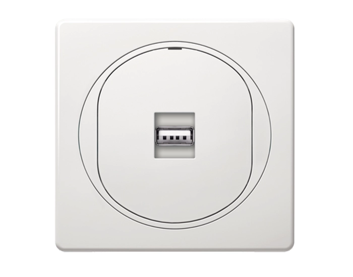 E6162.00 Комплект: механізм розетка 1-на USB+рамка 1-на 80*80 Aling-Conel EON, білий