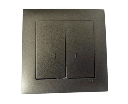 Вимикач 2кл. з підсвіткою LOGUS 10АХ, 250V металік графітовий