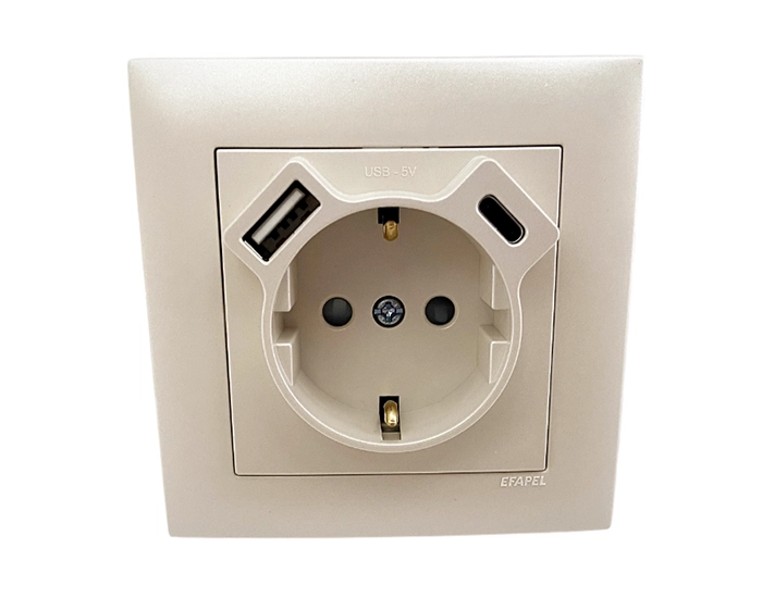 21137 TPE Розетка 2P+E 230V/16A з зар.прист. USB тип A+C Efapel Logus металік перламут.