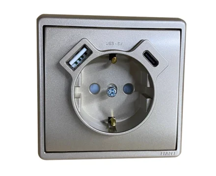 Розетка 2P+E 230V/16A з зар.прист. USB тип A+C Efapel Apolo шампань