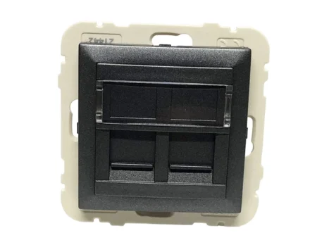 Розетка комп. подвійна LOGUS RJ45 5e металік графітовий